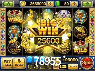 Interface Premium 78955